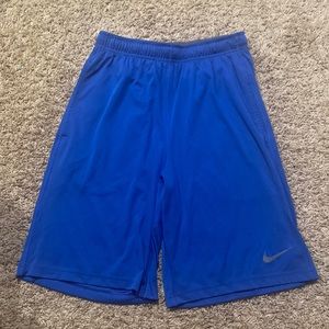 Nike Dri-Fit Men’s Shorts Royal Blue Size Small